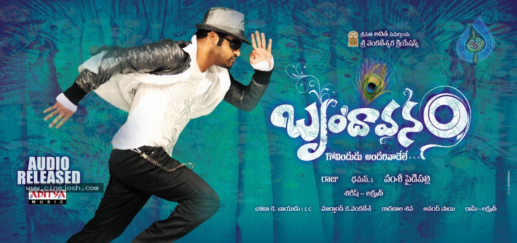  Brindavanam Movie Wallpapers - 3 / 10 photos