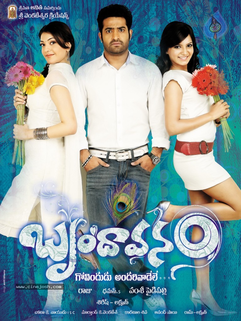  Brindavanam Movie Wallpapers - 6 / 10 photos