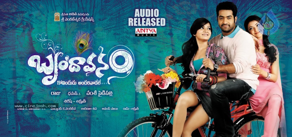  Brindavanam Movie Wallpapers - 8 / 10 photos