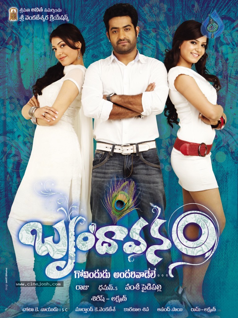  Brindavanam Movie Wallpapers - 9 / 10 photos