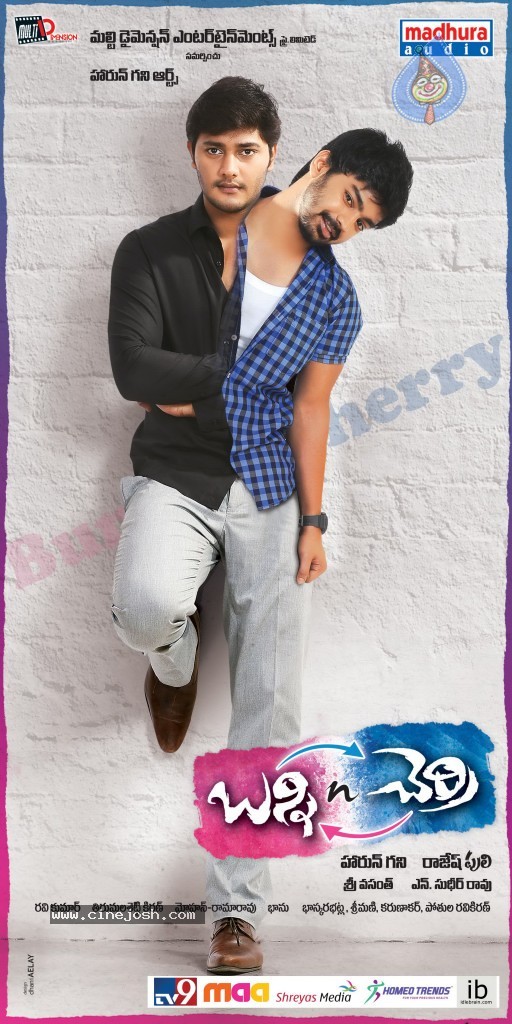 Bunny n Cherry Movie Designs - 21 / 21 photos