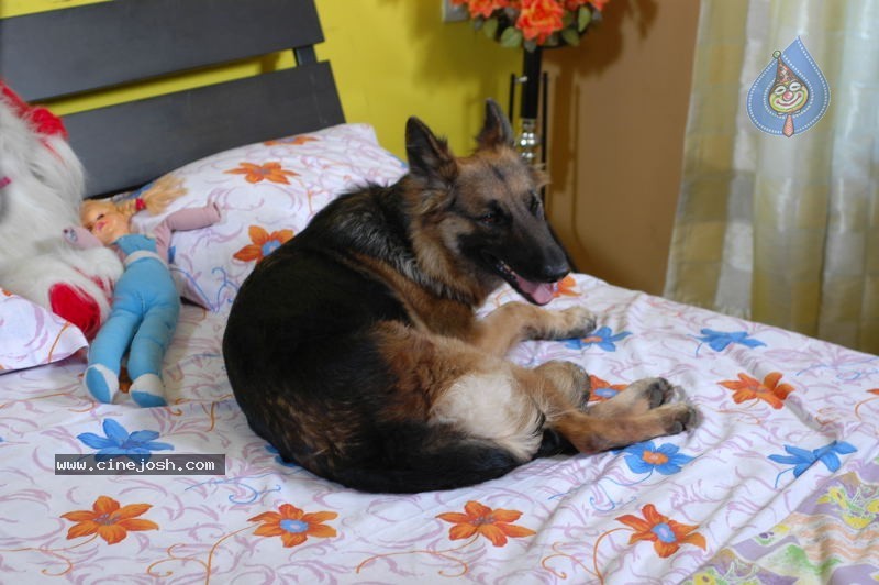 Bunty the bad boy movie - 66 / 84 photos