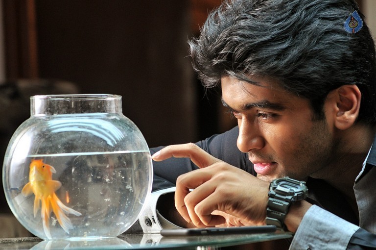 Chal Chal Gurram Movie Stills - 12 / 25 photos