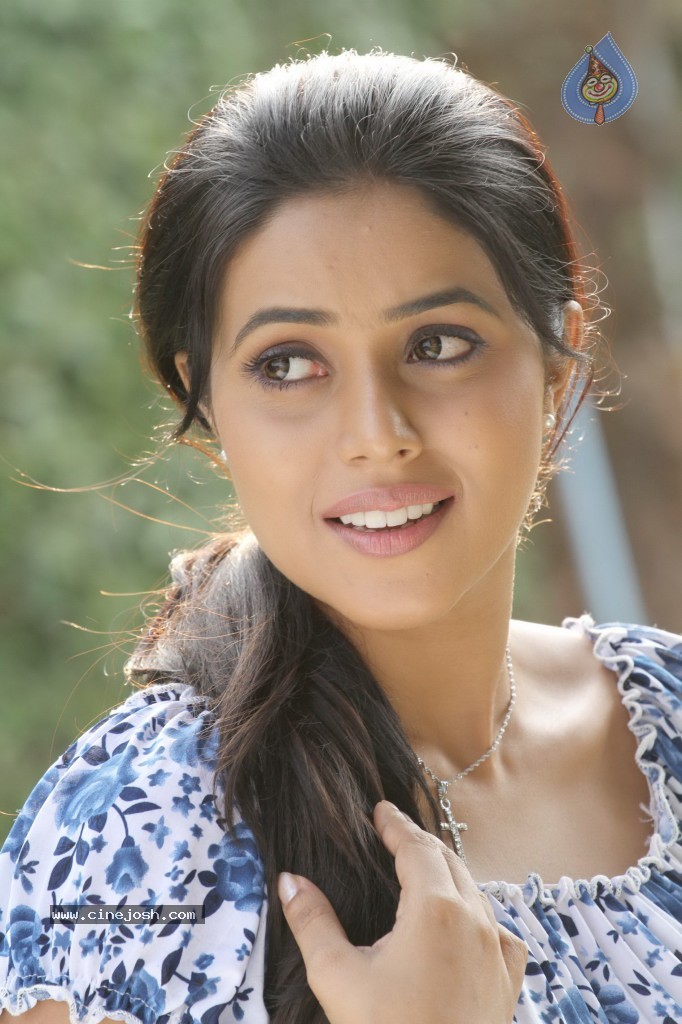 Chattakari Malayalam Movie Stills - 13 / 20 photos