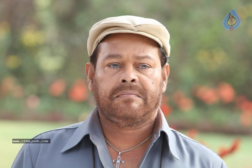 Chattakari Malayalam Movie Stills - 16 / 20 photos