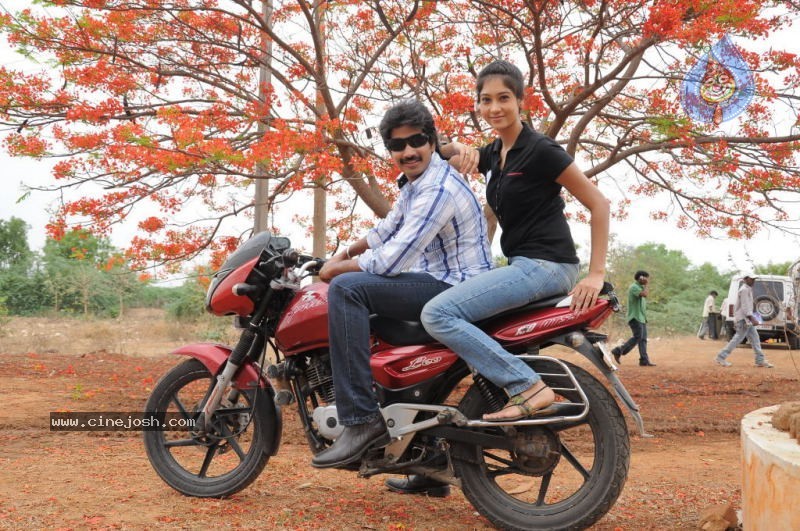 Cricket Girls and Beer Movie Gallery - 60 / 102 photos