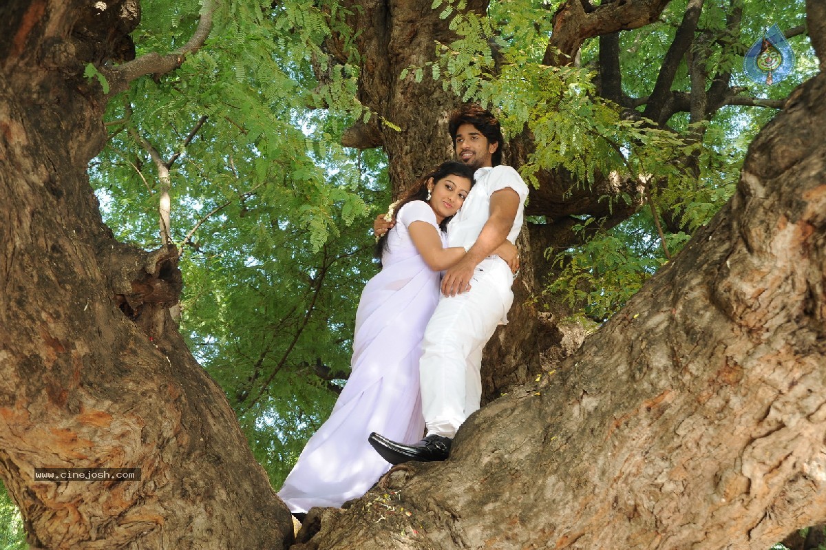 Cut Cheste Movie Stills - 14 / 33 photos