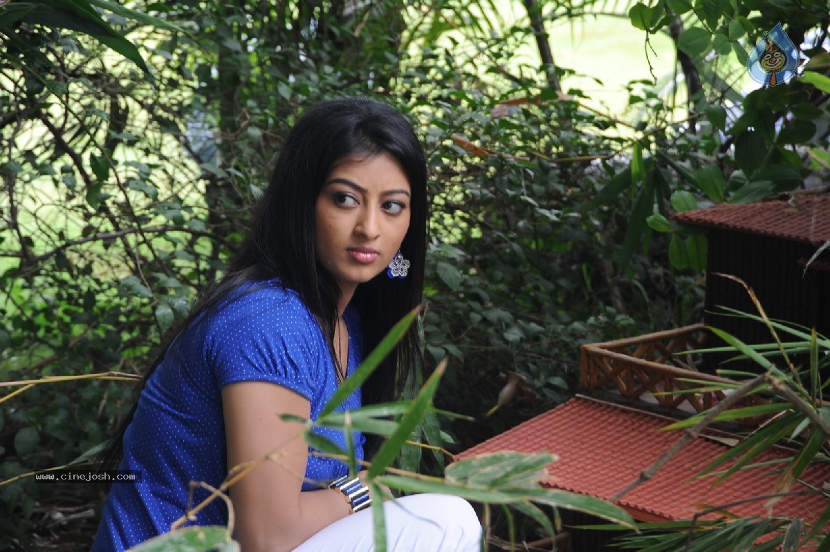 Cut Cheste Movie Stills - 19 / 33 photos