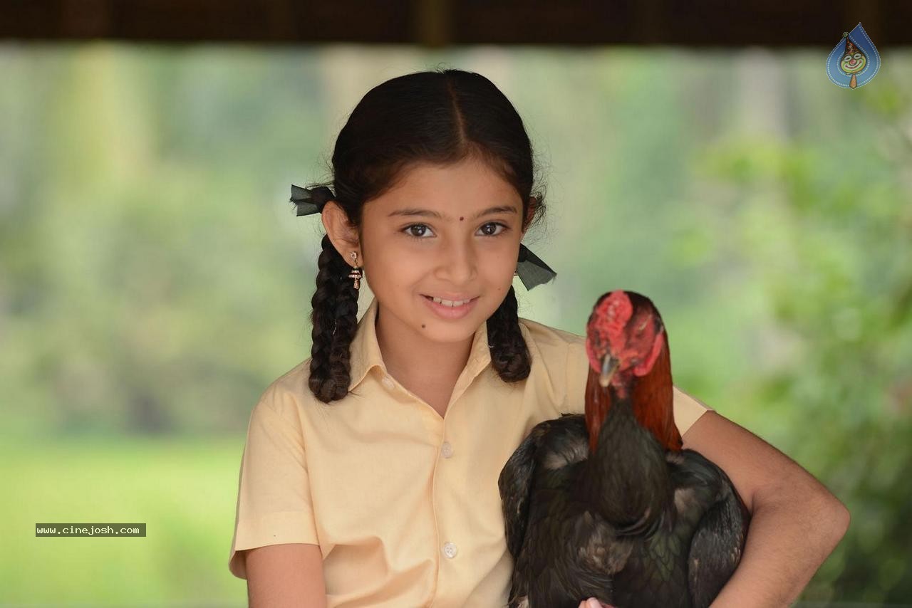 Dagudumutha Dandakor Movie New Photos - 27 / 53 photos