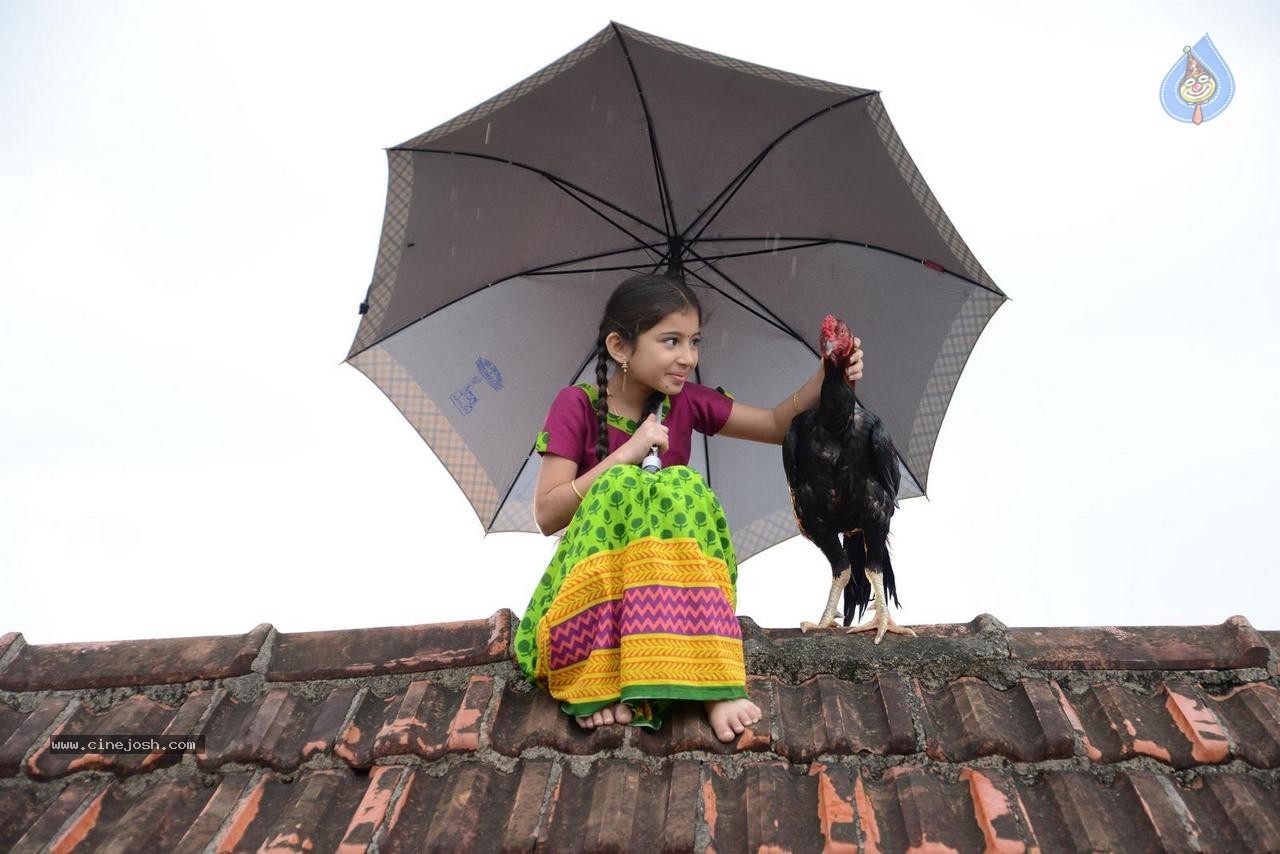 Dagudumutha Dandakor Movie New Photos - 37 / 53 photos