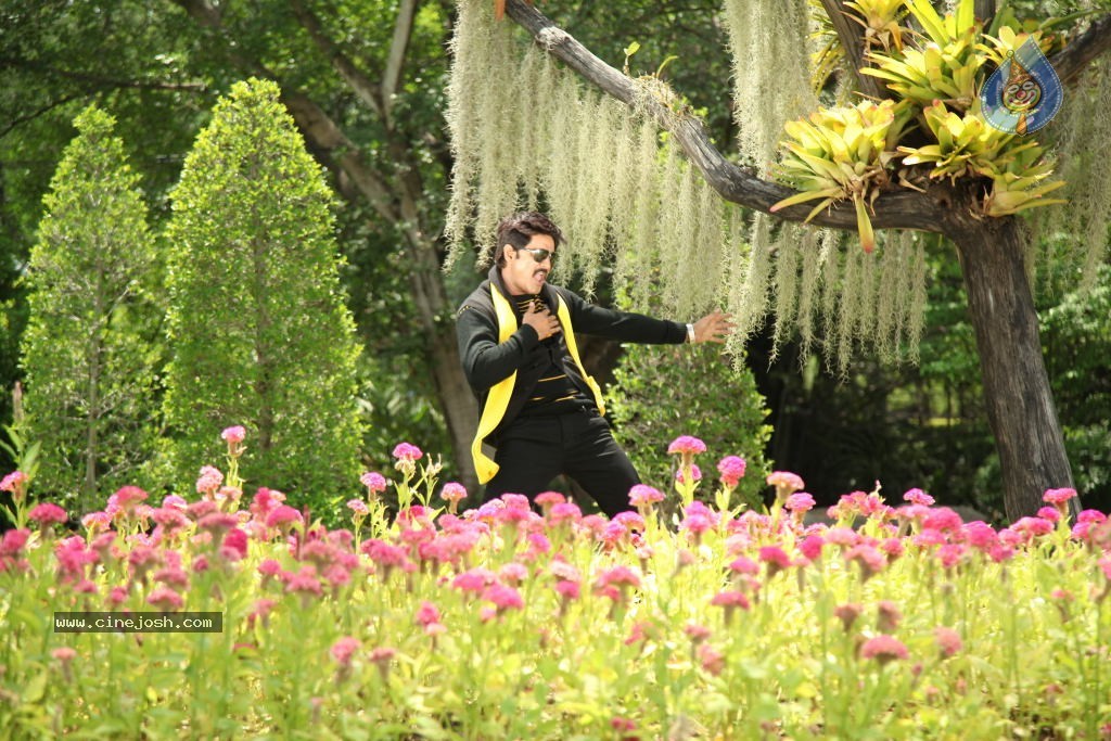 Devaraya Movie New Stills - 17 / 84 photos