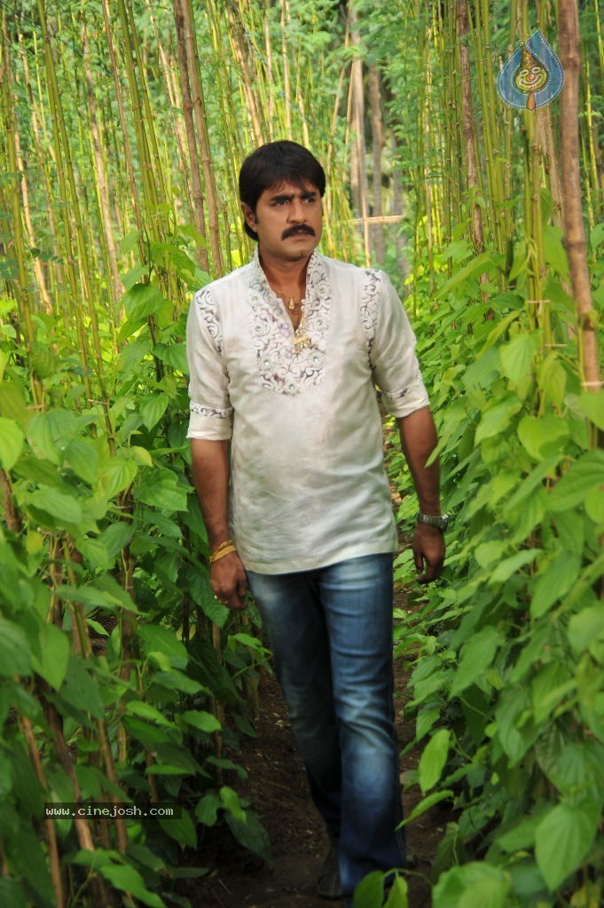 Devaraya Movie New Stills - 32 / 84 photos