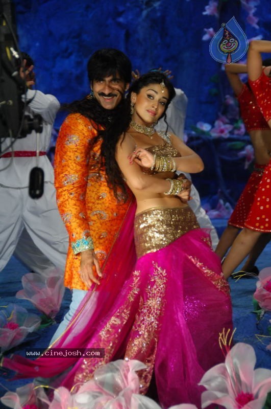 Don Seenu Movie New Stills - 32 / 42 photos