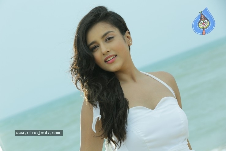 Duster 1212 Movie Posters - 3 / 9 photos