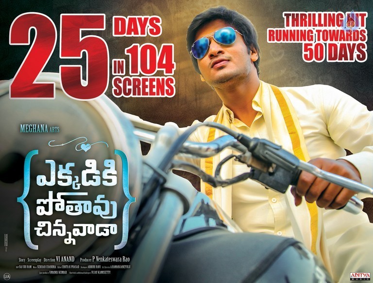 Ekkadiki Pothavu Chinnavada Movie 25 Days Wallpaper - 1 / 1 photos