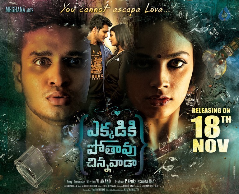 Ekkadiki Pothavu Chinnavada New Posters - 2 / 2 photos