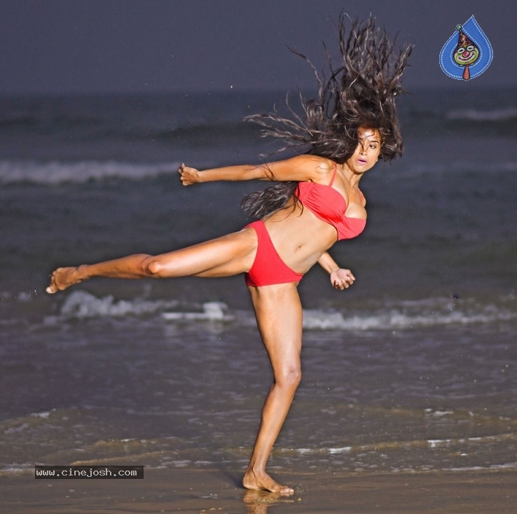 Enter The Girl Dragon Movie Stills - 5 / 13 photos