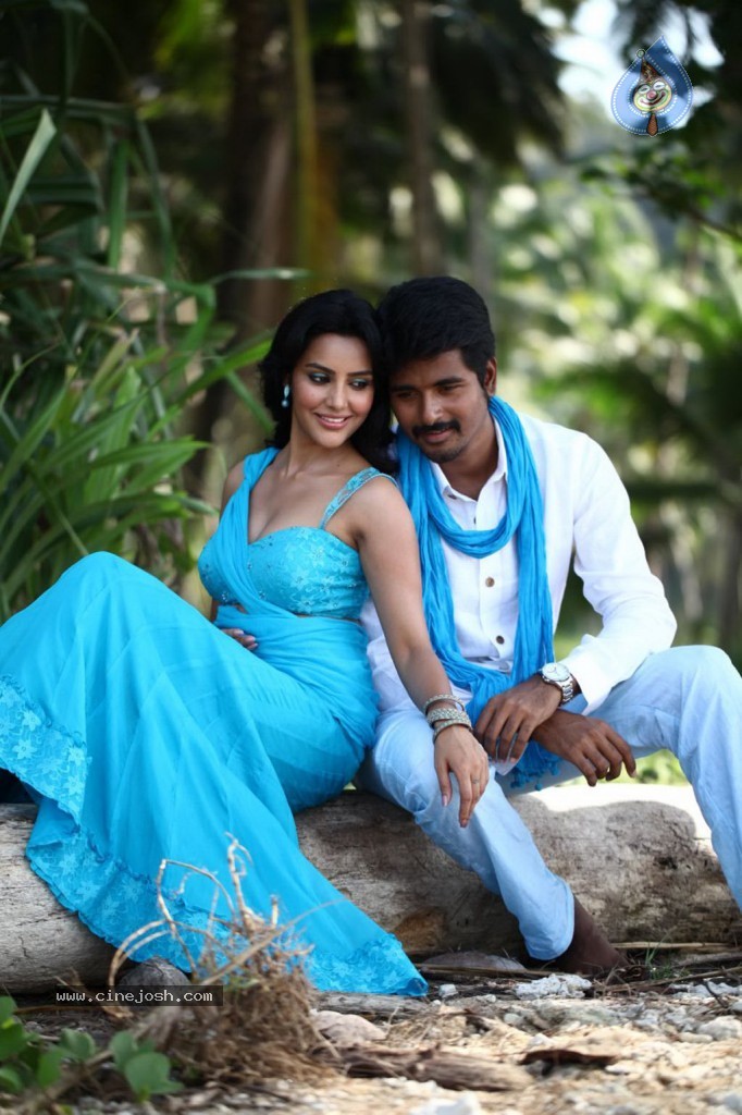 Ethir Neechal Tamil Movie Hot Stills - 14 / 30 photos