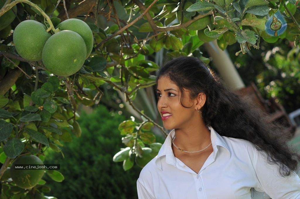 Farm House Movie New Photos - 86 / 93 photos