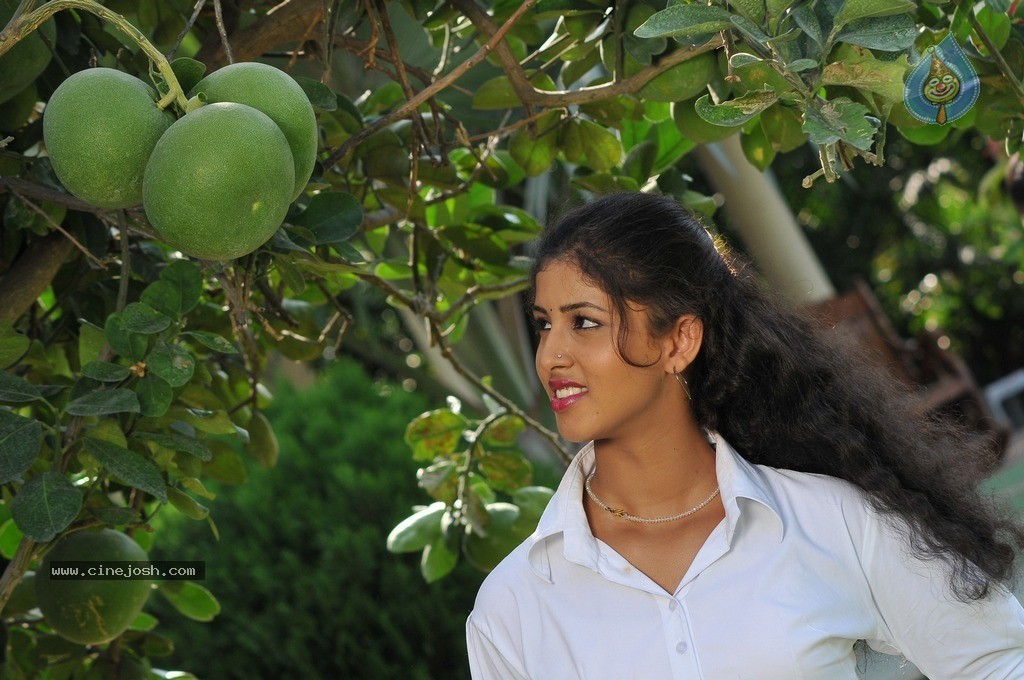 Farm House Movie New Photos - 91 / 93 photos