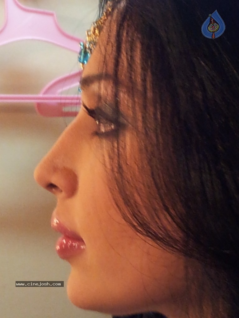 Flora Saini Stills in Aakasam Lo Sagam - 15 / 15 photos