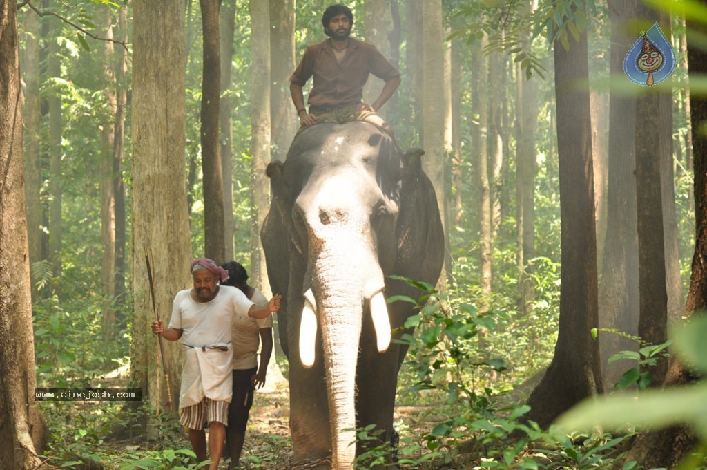 Gajaraju Movie Stills - 1 / 16 photos