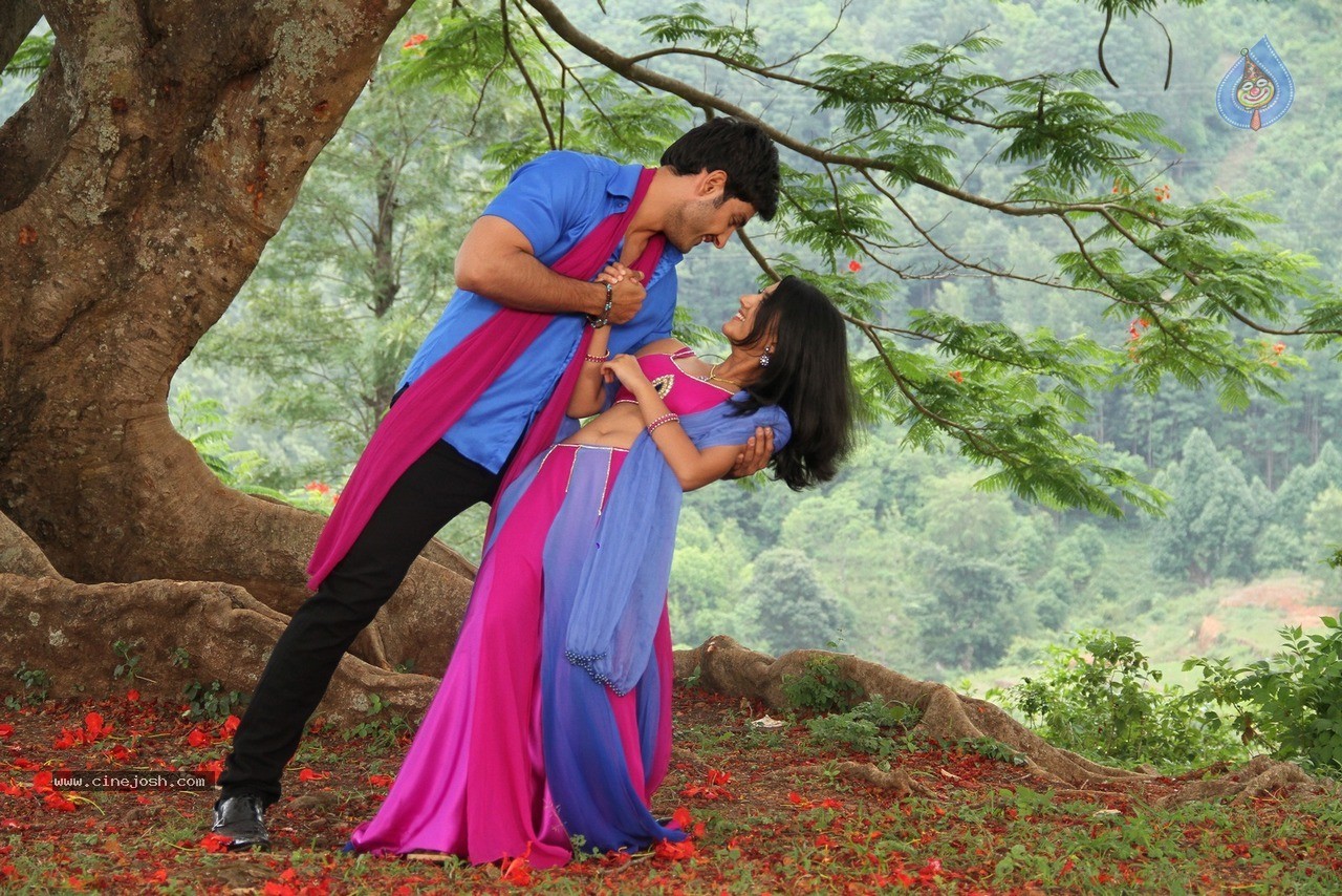 Gayakudu Movie New Photos - 11 / 13 photos