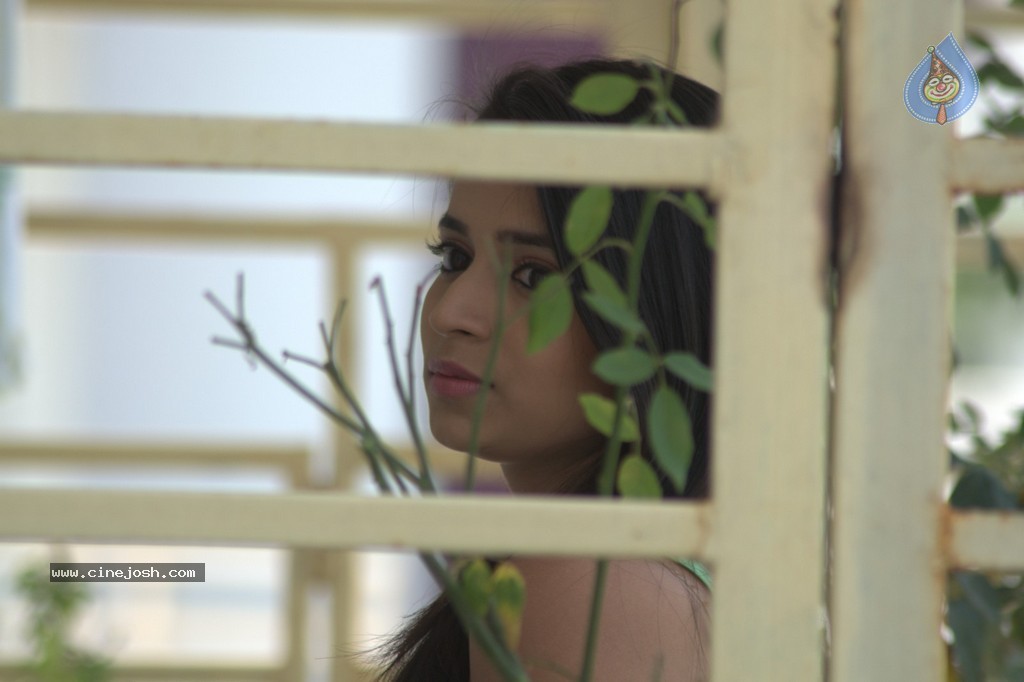 Golden Chance Movie Stills and Walls - 36 / 251 photos