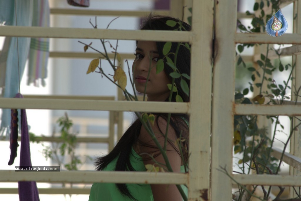 Golden Chance Movie Stills and Walls - 100 / 251 photos