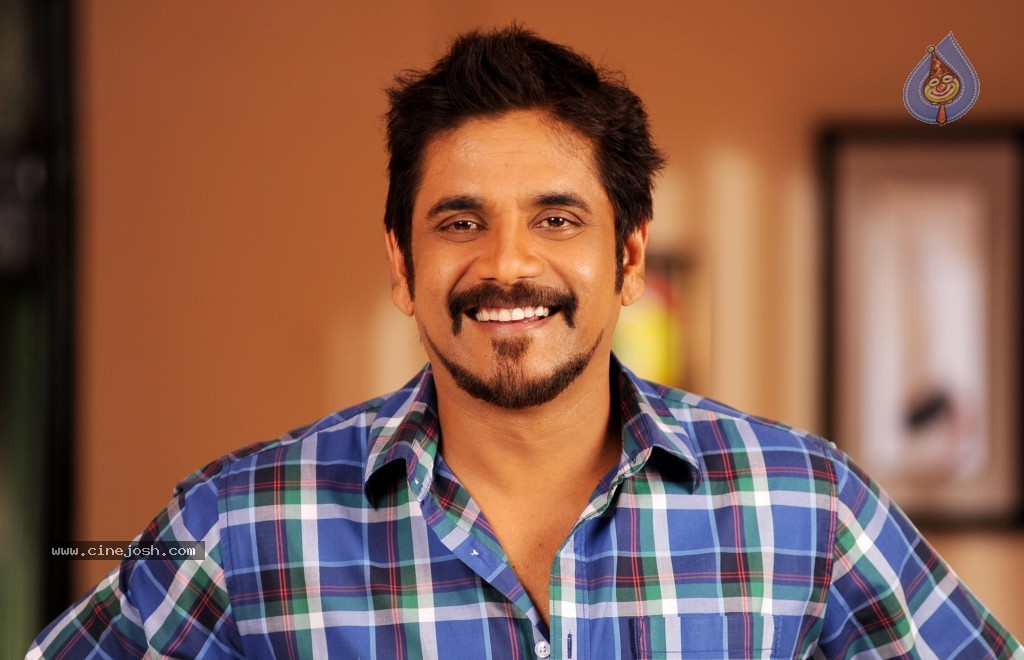 Greeku Veerudu Movie New Photos - 12 / 15 photos