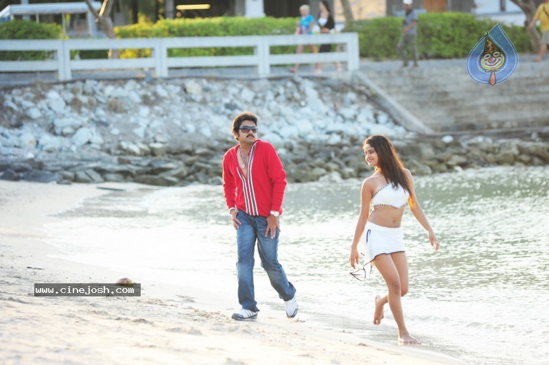 Hasini Movie New Pics - 3 / 16 photos