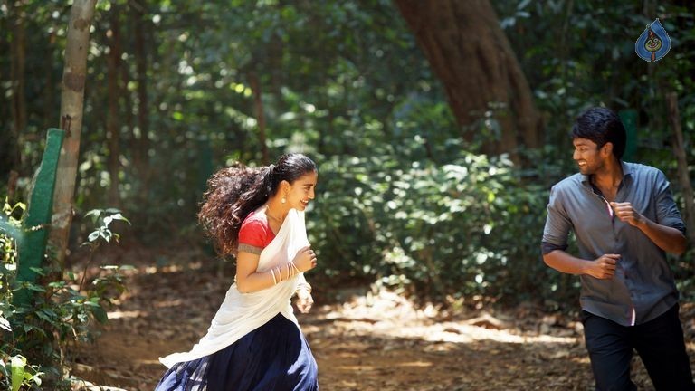 Hora Hori Photos and Posters - 27 / 27 photos