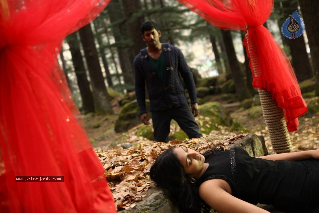 Indrudu Movie New Stills - 56 / 95 photos