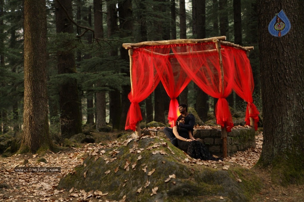 Indrudu Movie New Stills - 74 / 95 photos