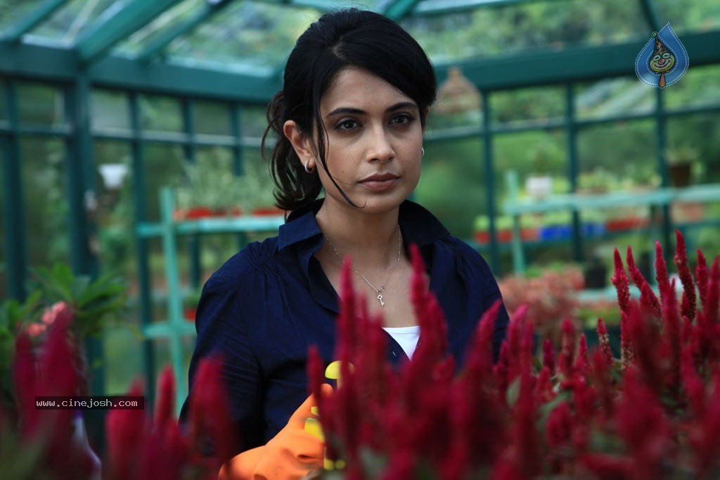 JAI Tamil Movie Stills - 15 / 47 photos