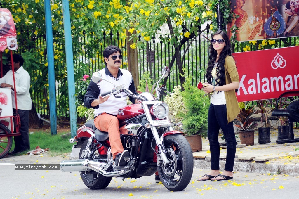 Jalsa Rayudu Movie Stills - 6 / 8 photos