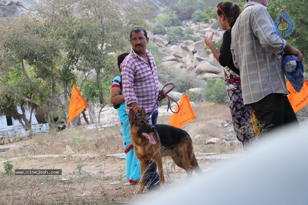 Kakatiyudu Movie Stills n Posters - 24 / 122 photos