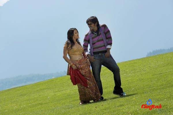 Kasko Movie Stills-Vaibhav,Swetha Basu  - 18 / 34 photos