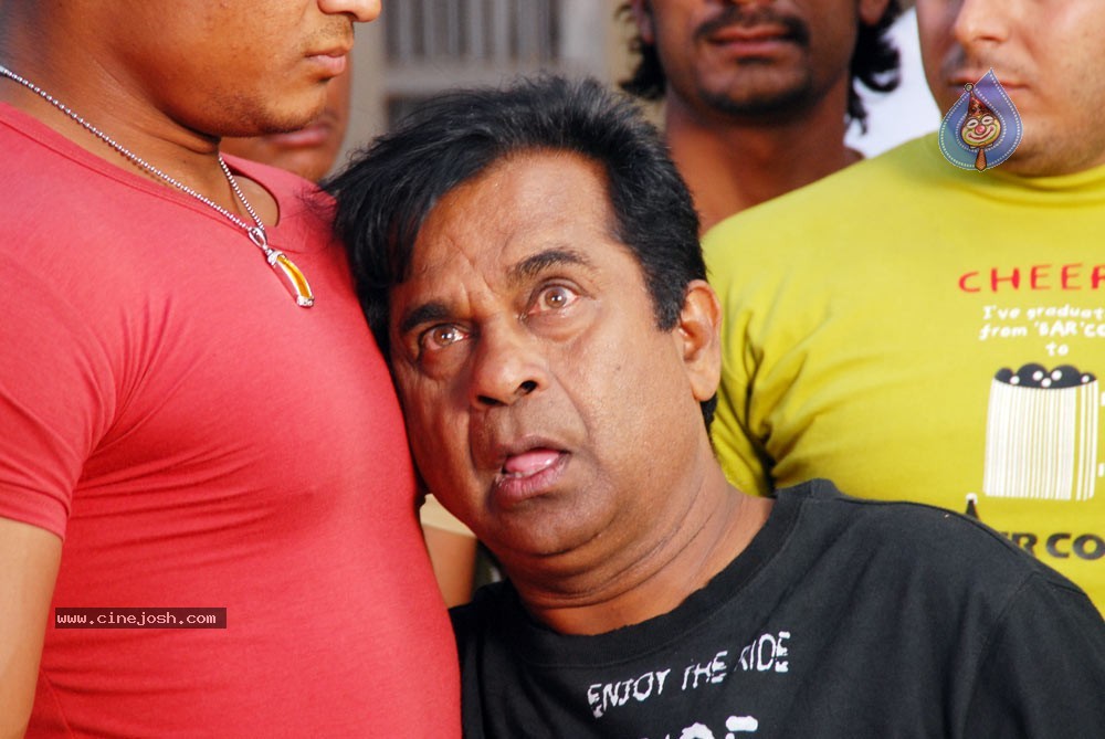 Kasko Movie - Vaibhav,Swetha Basu Stills - 42 / 59 photos