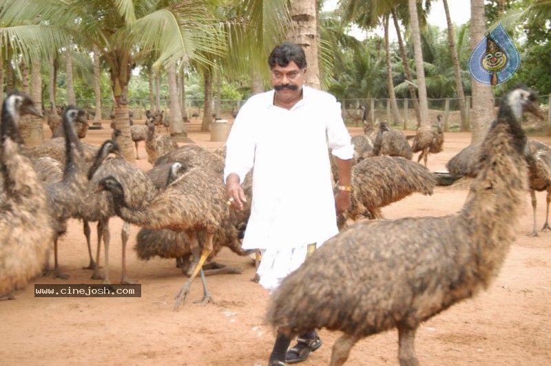 Katti Kanta Rao Movie Stills - 53 / 100 photos