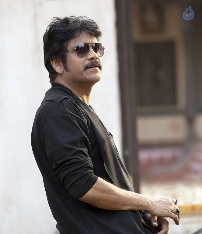 King Nagarjuna in Raju Gari Gadi 2 - 1 / 4 photos