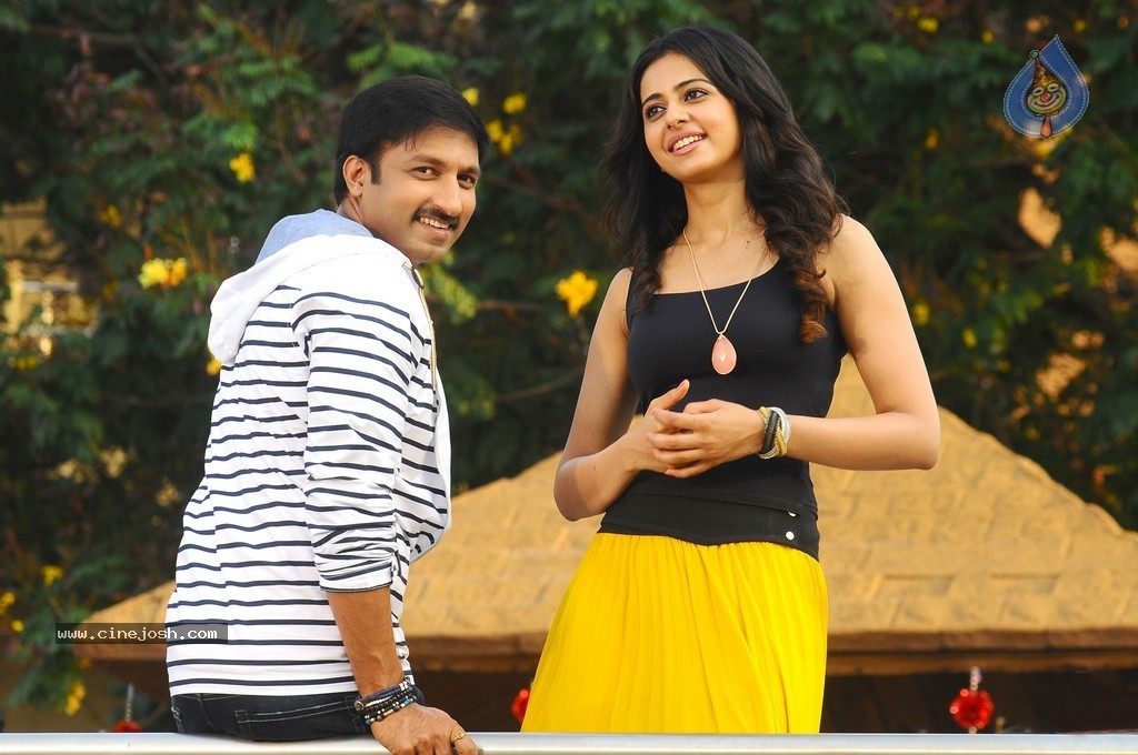 Loukyam Movie New Stills - 8 / 8 photos