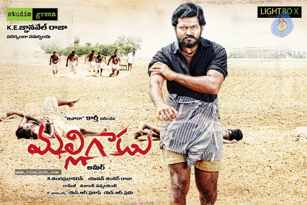 Malligadu Movie Wallpapers - 11 / 12 photos