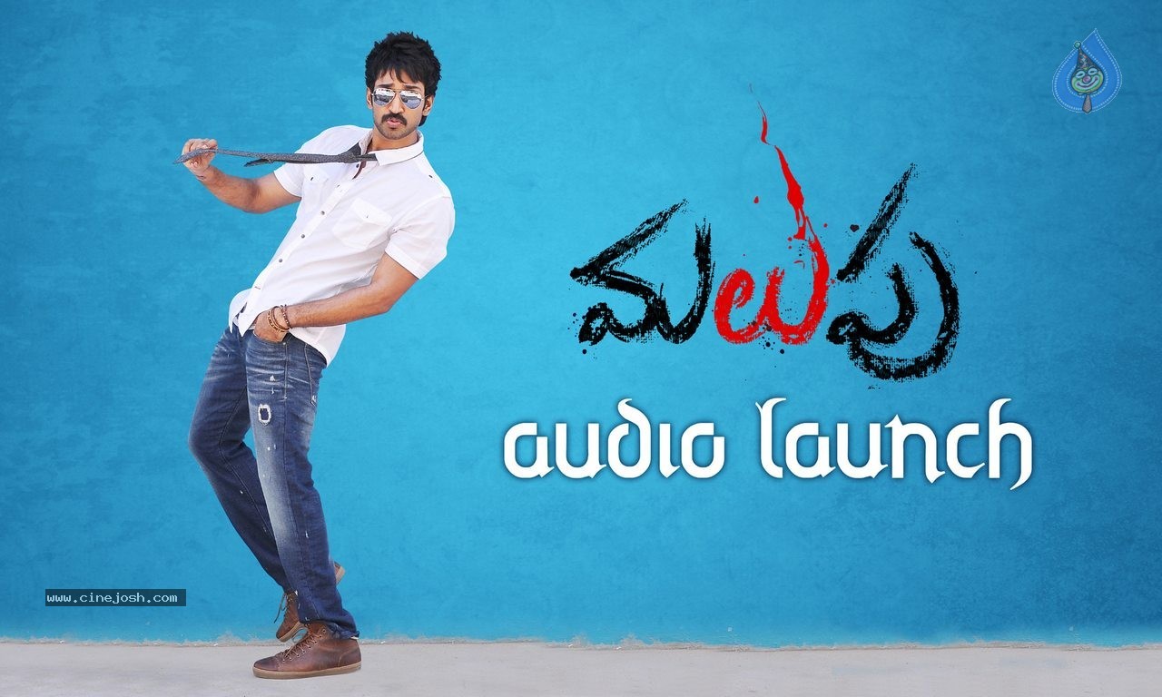 Malupu Movie New Posters - 13 / 13 photos