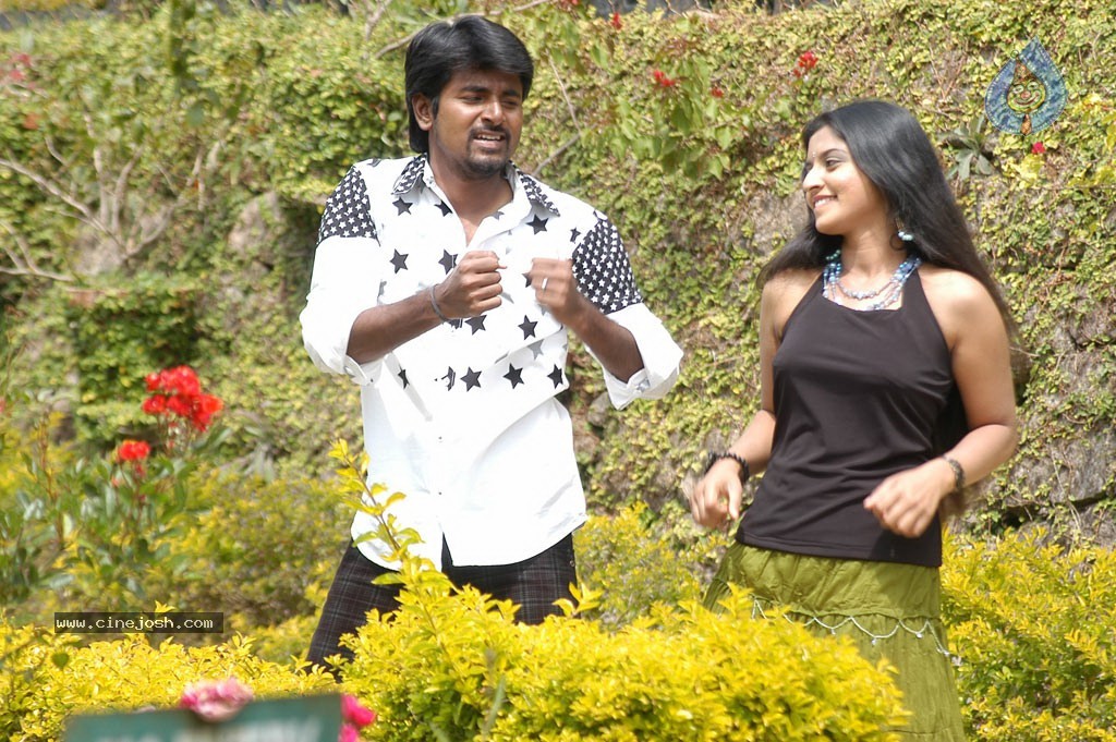 Manam Kothi Paravai Tamil Movie Gallery - 59 / 68 photos