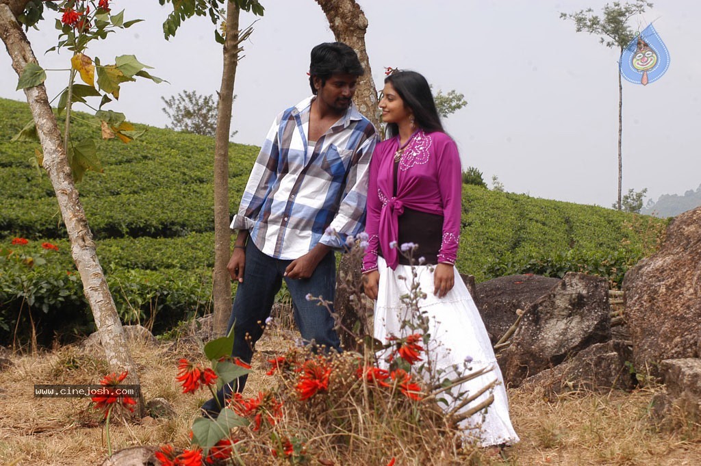 Manam Kothi Paravai Tamil Movie Gallery - 61 / 68 photos