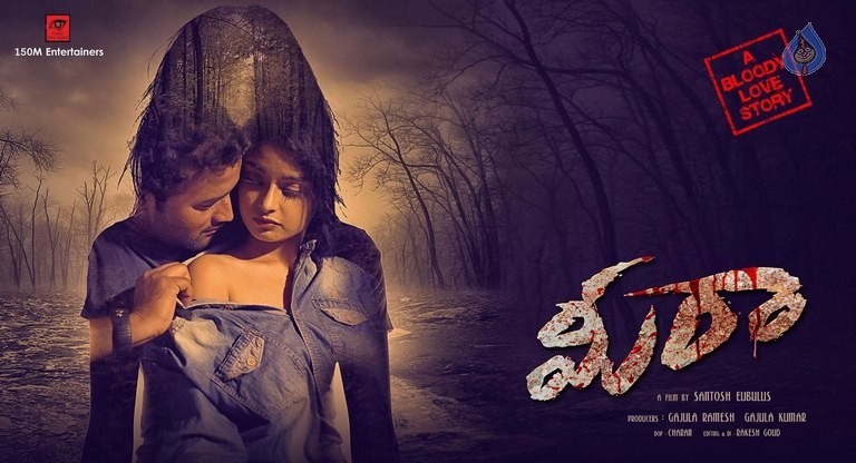 Meera Movie Posters and Photos - 6 / 12 photos