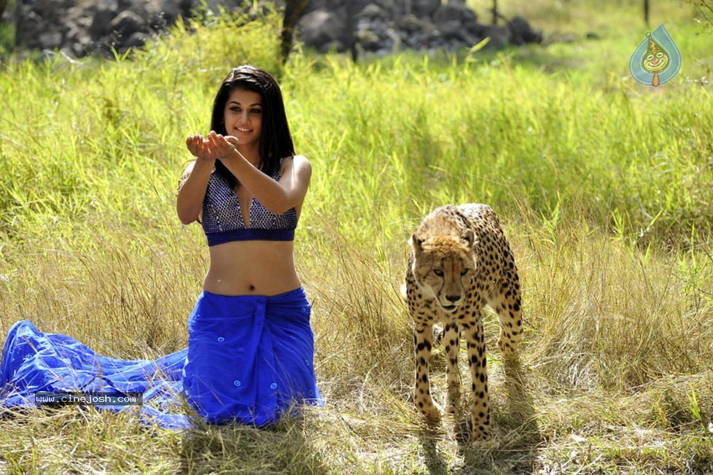 Mogudu Movie New Stills - 19 / 25 photos