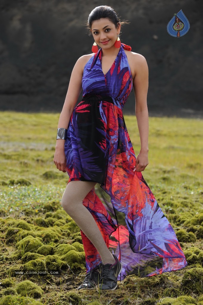 Naayak Movie Gallery - 108 / 144 photos