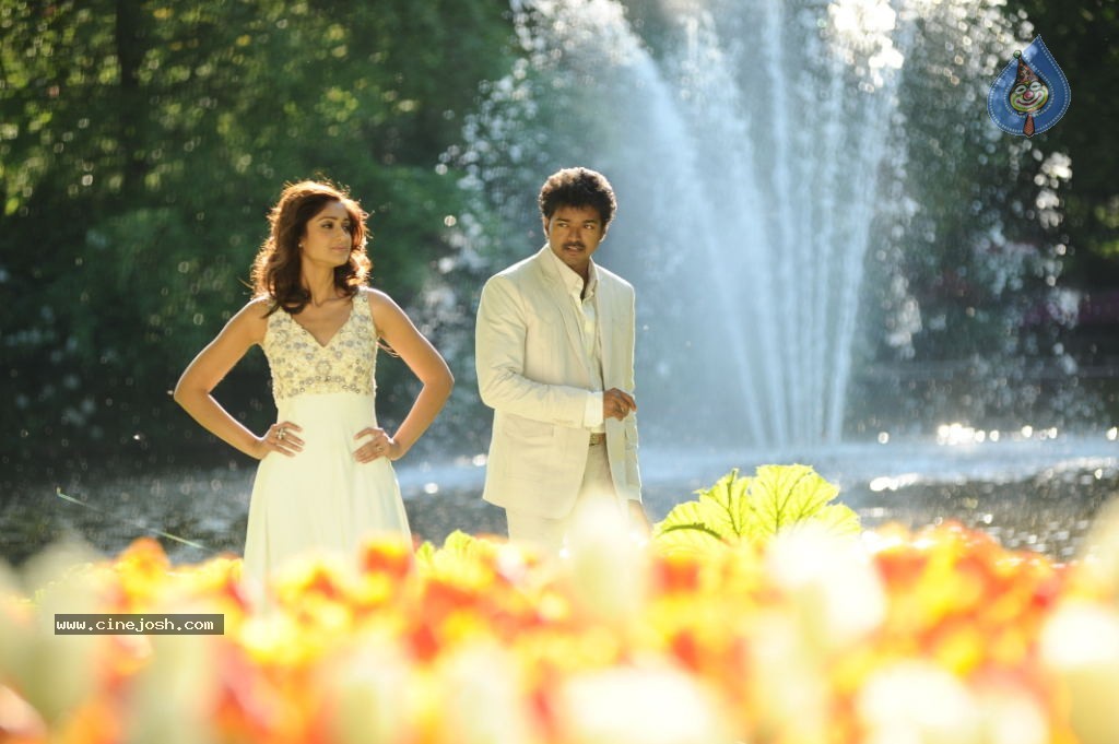 Nanban(3 Idiots Remake) Movie Stills - 16 / 16 photos